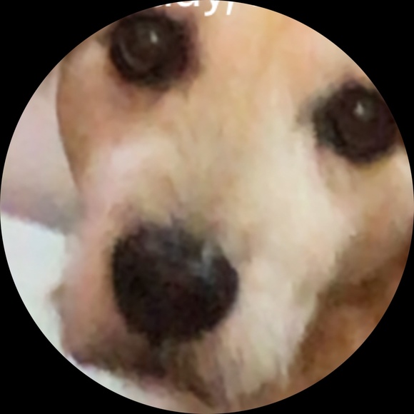 korndawg8964